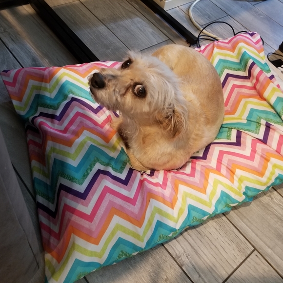 Meet your Posher, Mayra - Picture 4 of 10